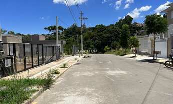 Imagem 4: Terreno situado no loteamento Menegotto, bairro Santa Marta