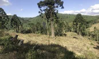 Imagem 2: Chácara para Venda em Centro Bocaiúva do Sul-PR - 550