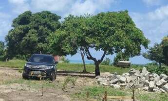 Imagem 5: Vendo 5,5 hectares beira pista vista mar