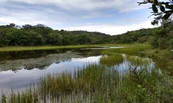 Imagem 9: POJUCA - Fazenda 230 ha