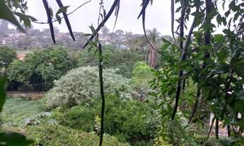 Imagem 2: Terreno à venda, Cecília - Viamão/RS