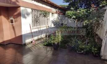 Imagem 4: SAO PAULO - Terreno Padrao - BOSQUE DA SAUDE