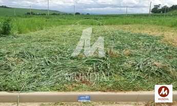 Imagem: Terreno (terreno normal