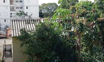 Imagem 7: Lote/Terreno para venda, 462 m2 no Jaguaré - São Paulo - São Paulo