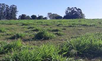 Imagem 2: Santa Maria - Chácara - Boca do Monte