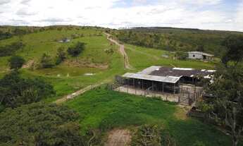 Imagem 2: Fazenda Girassol / Cocalzinho GO - 166Hec