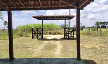 Imagem 6: Sítio / fazenda em itaporanga