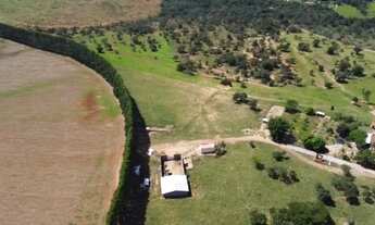 Imagem 4: Fazenda com irrigação por pivo central às margens do São Francisco em Abaeté MG