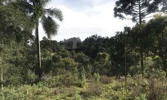 Imagem 5: Chácara para Venda em Centro Bocaiúva do Sul-PR - 549