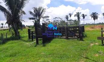 Imagem 5: Vende-se excelente chácara com 2,58 ha à 12 km de Porto Velho