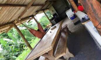 Imagem 7: Chácara em Colatina 150mil a vista