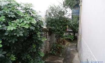 Imagem 7: CASA TÉRREA - VILA IPOJUCA - SP