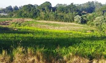 Imagem 6: Terrenos Planos e Limpos Para Sua Casa de Campo em Ibiúna - SP PM