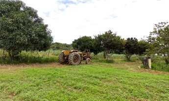 Imagem 6: POJUCA - Fazenda 230 ha