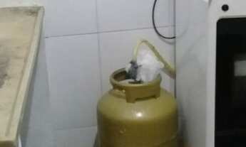 Imagem 4: Imovel Casa com 2 dormitórios