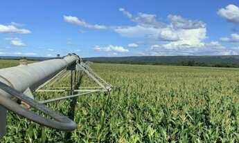 Imagem 7: Fazenda dupla aptidão no cerrado baiano AT 5.800 hectares
