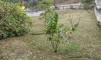 Imagem 7: Terreno com Excelente topografia. Quarta Divisão, Ribeirão Pires - SP