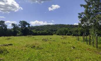 Imagem 6: Sítio em Pirenópolis