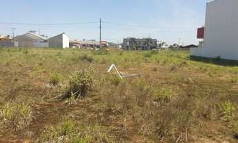 Imagem 5: Terreno morada das palmeiras