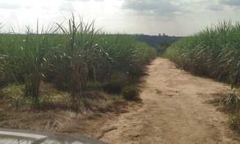 Imagem 6: CASA BRANCA - RURAL - Zona Rural