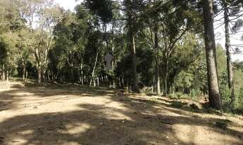 Imagem: Chácara para Venda em Centro Bocaiúva