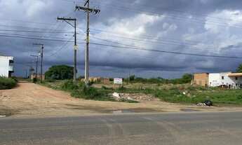 Imagem 2: Terreno com 300m² no asfalto na BA 502 em Conceição da Feira