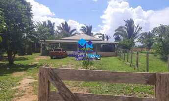 Imagem 4: Vende-se excelente chácara com 2,58 ha à 12 km de Porto Velho