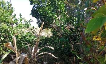 Imagem: Terra em Minas Gerais