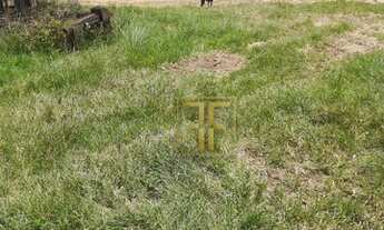 Imagem 2: Fazenda 470 Alqueires, Mutunópolis, GO