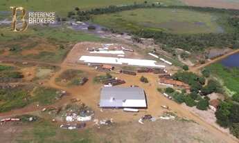 Imagem 4: Fazenda extraordinária em Cocalinhos - MT