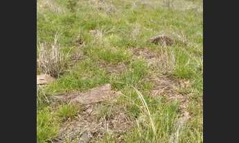 Imagem 5: Lote/Terreno para venda com 600 metros quadrados em Centro - Vargem - SP