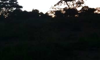 Imagem: Terreno rural