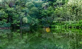 Imagem 6: Fazendinhas 20.000m² Localização Excelente 165.025 + Parcelas