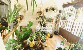 Imagem 5: Casa com 6 dormitórios à venda, 250 m² por R$ 500.000,00 - Segismundo Pereira - Uberlândia