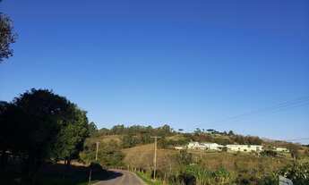 Imagem 3: EXCELENTE AREA PARA SITIO