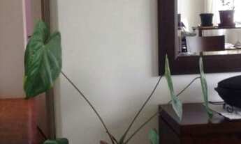 Imagem 4: APARTAMENTO - PERDIZES - SP