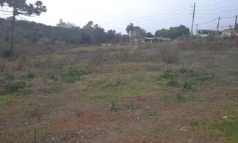 Imagem 3: Vendo Chácara com 5.000 metros Novo Bandeirantes