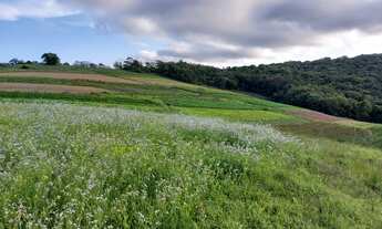 Imagem 7: DESAPEGO MEU TERRENO EM COTIA!!!
