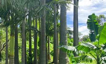 Imagem 2: Terreno na beira da Lagoa em Laguna SC