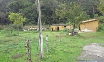 Imagem 6: AREA - CURURUQUARA - SP