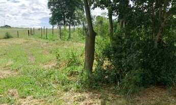 Imagem 7: Terreno para Venda em Cosmópolis, Itapavussu