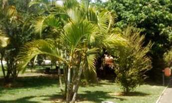 Imagem 4: TERRENO EM CONDOMÍNIO - PARQUE LAUSANNE - SP