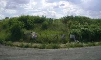 Imagem 6: área - Parque Taquaral - Campinas