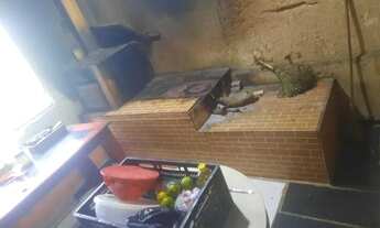 Imagem 2: Chácara 3 vendas 11.875 m2 Escriturada