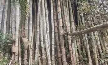 Imagem 4: 24 Alqueires paulistas para pousada 3 milhoes