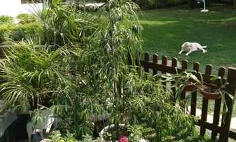 Imagem 2: TERRENO RESIDENCIAL em SÃO JOSÉ DOS PINHAIS - PR, JARDIM ARISTOCRATA