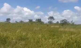Imagem 5: Terreno 1 hectare R$35000