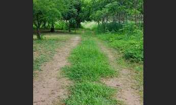 Imagem 5: ? *VENDE-se sítio no serra grande 1