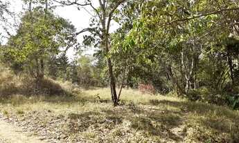 Imagem 5: 1 Alqueire, Energia, Córrego, Tanque de Peixe, Terra Mista, Aragoiânia