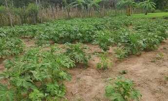 Imagem 6: Vendo chácara em São Sebastião do paraíso mg